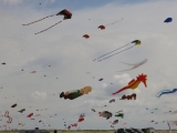 Fanoe_2014_208