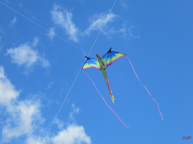 Fanoe_2014_237