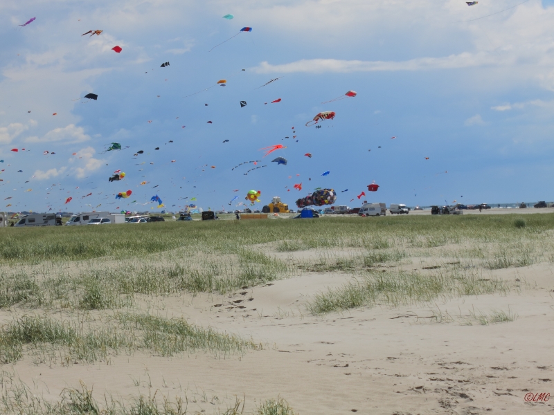 Fanoe_2014_238