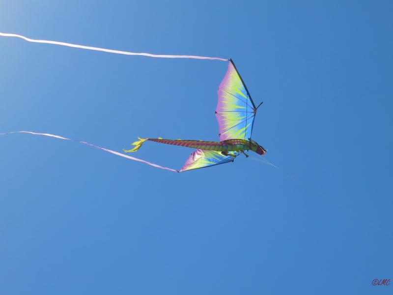 Fanoe_2014_239