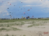 Fanoe_2014_238
