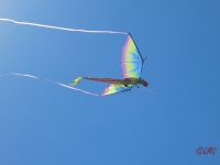 Fanoe_2014_239