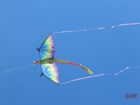 Fanoe_2014_240