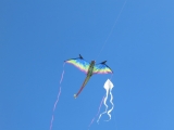 Fanoe_2014_234