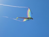 Fanoe_2014_239