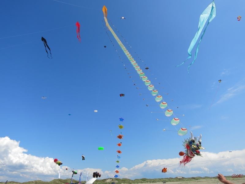 Fanoe_2014_250