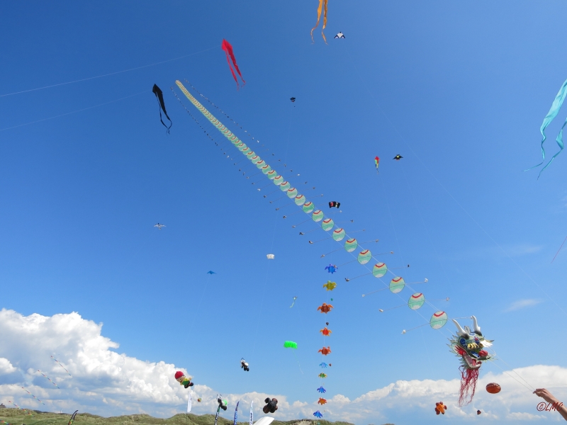 Fanoe_2014_251