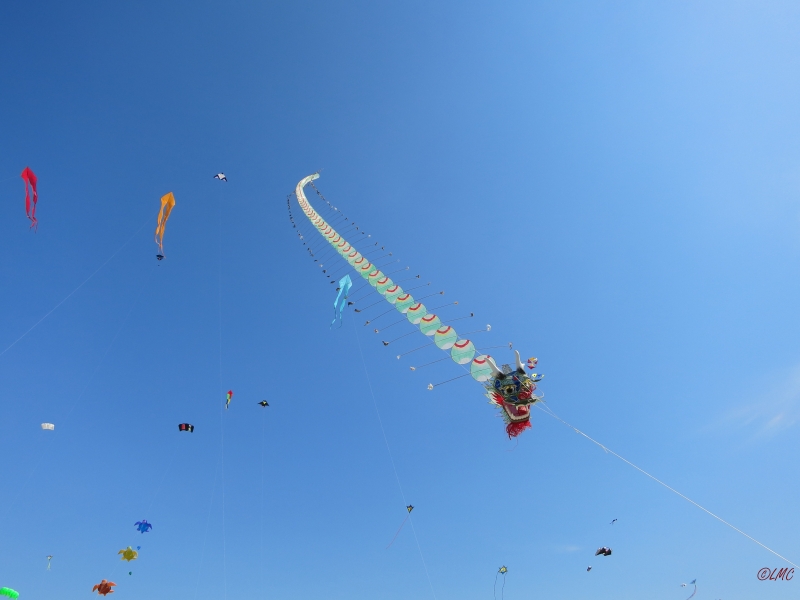Fanoe_2014_253