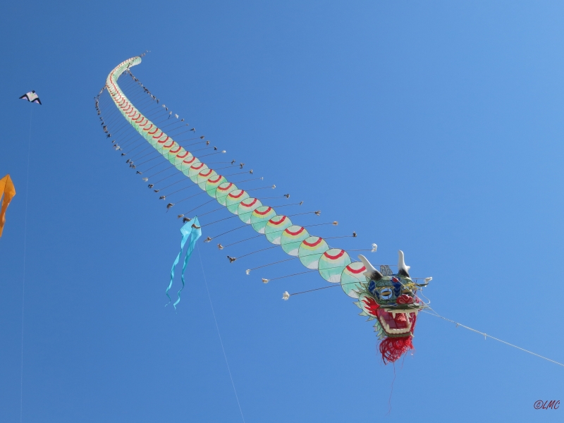 Fanoe_2014_255