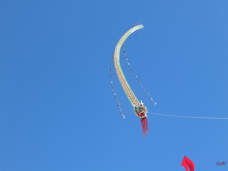 Fanoe_2014_257
