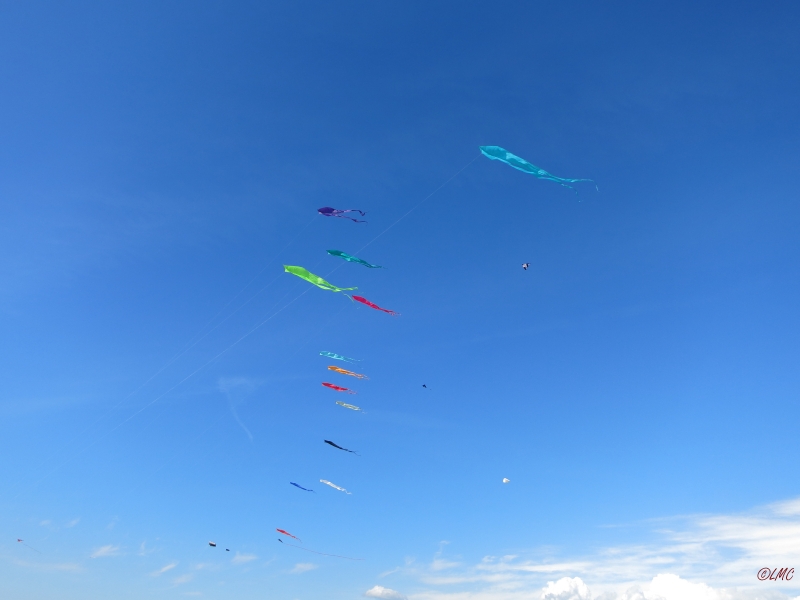 Fanoe_2014_259