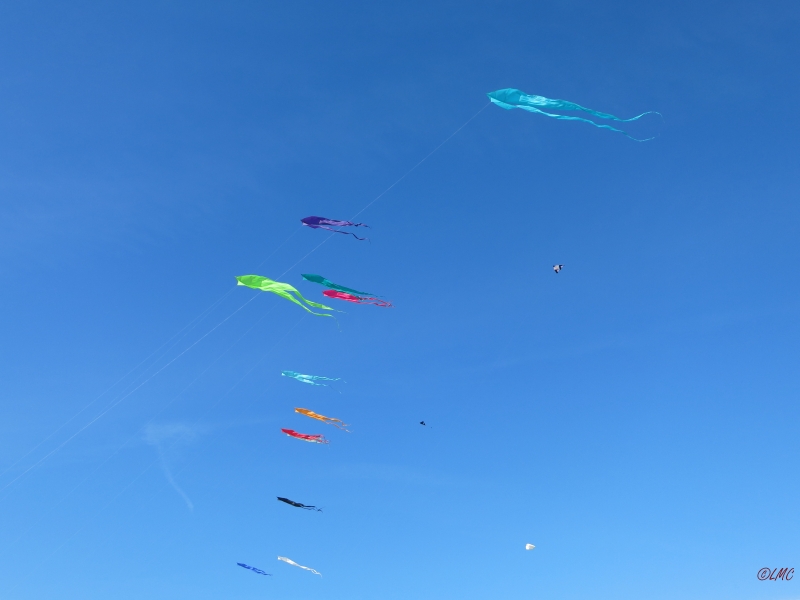 Fanoe_2014_260