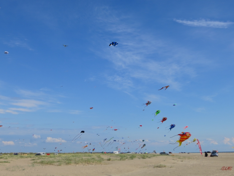 Fanoe_2014_261