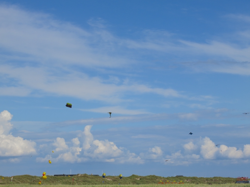 Fanoe_2014_262