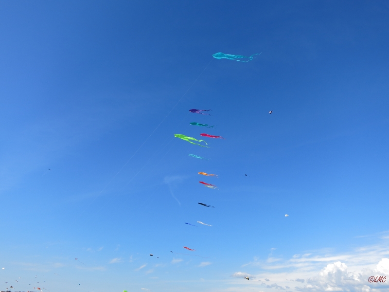 Fanoe_2014_264