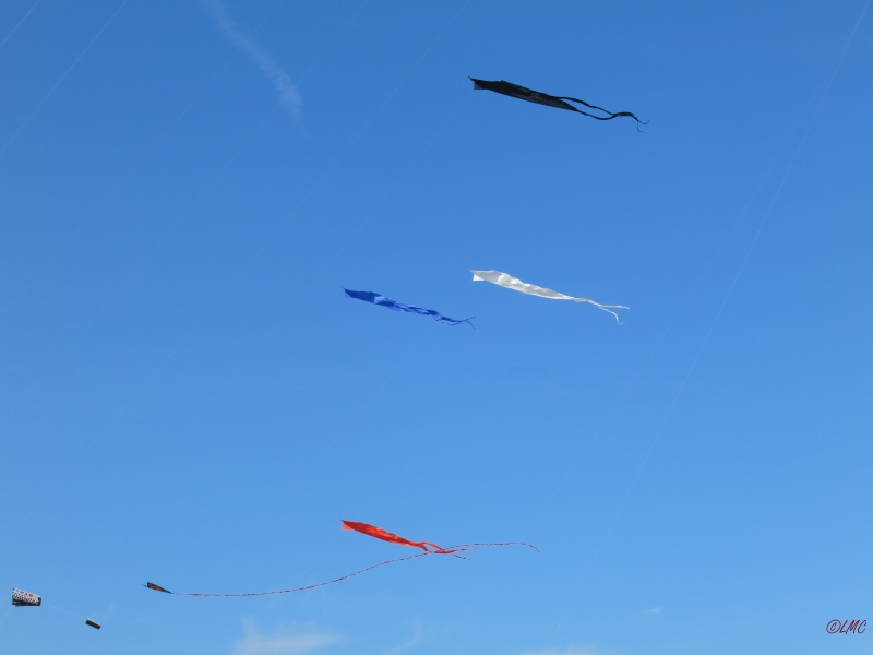 Fanoe_2014_265