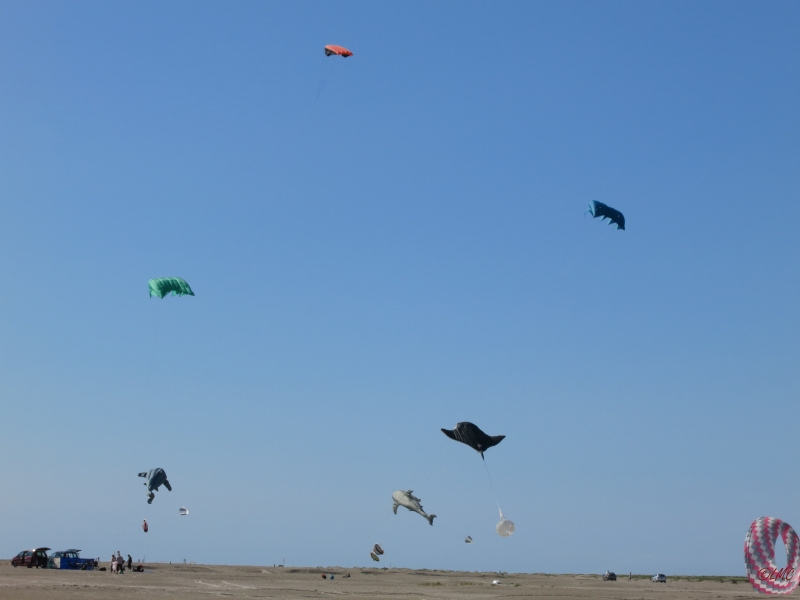 Fanoe_2014_268