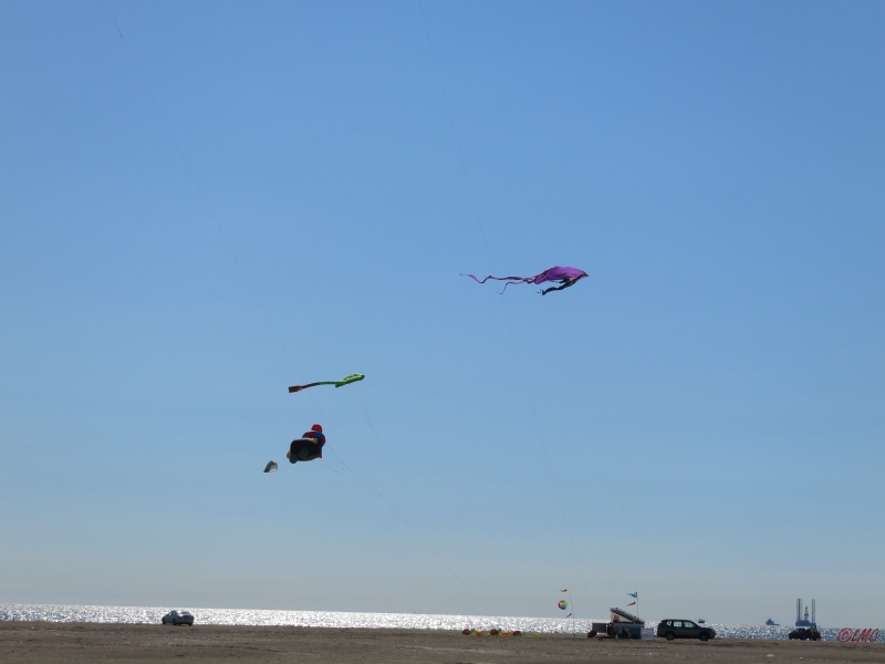 Fanoe_2014_269