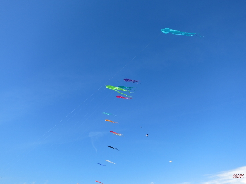 Fanoe_2014_271