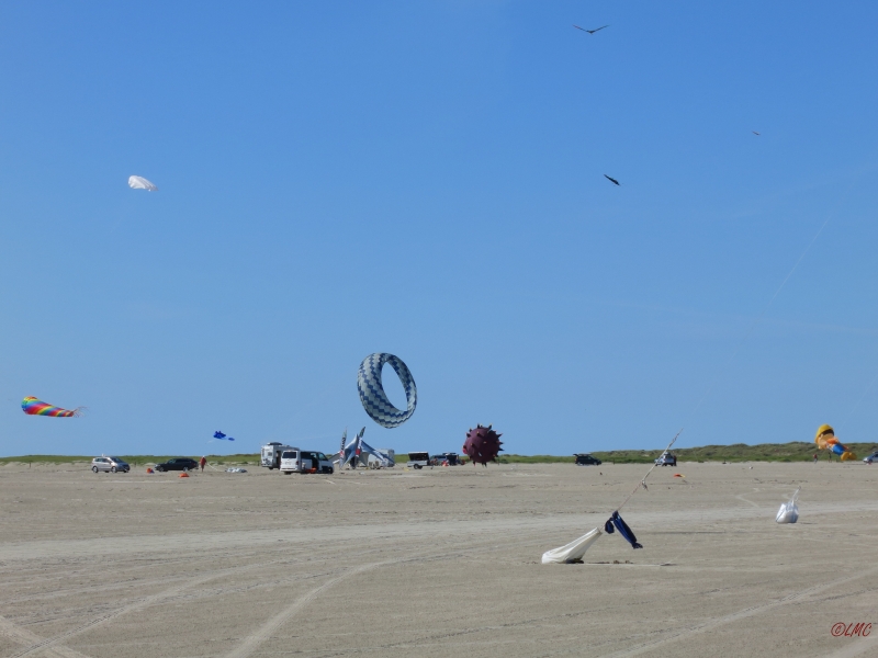 Fanoe_2014_272