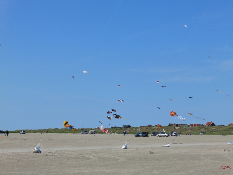 Fanoe_2014_274