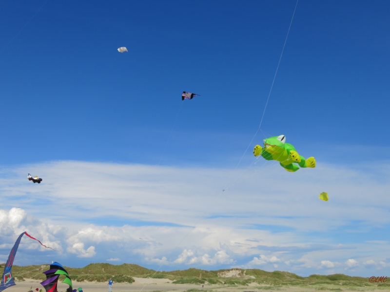 Fanoe_2014_275