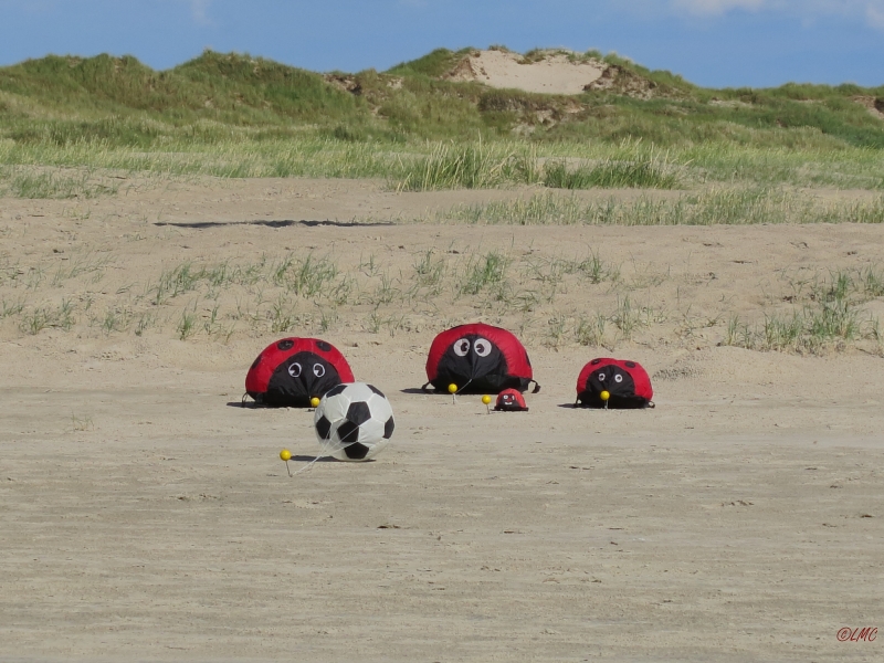 Fanoe_2014_279
