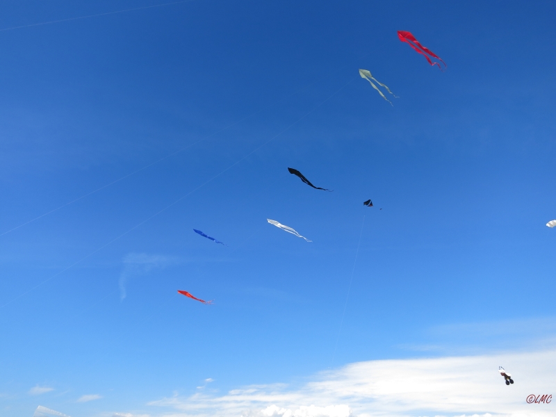 Fanoe_2014_282
