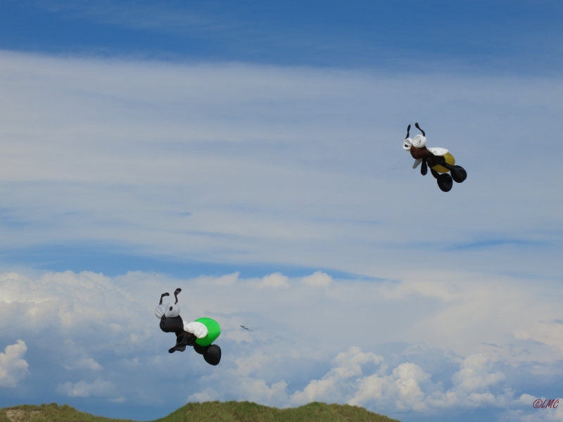 Fanoe_2014_283