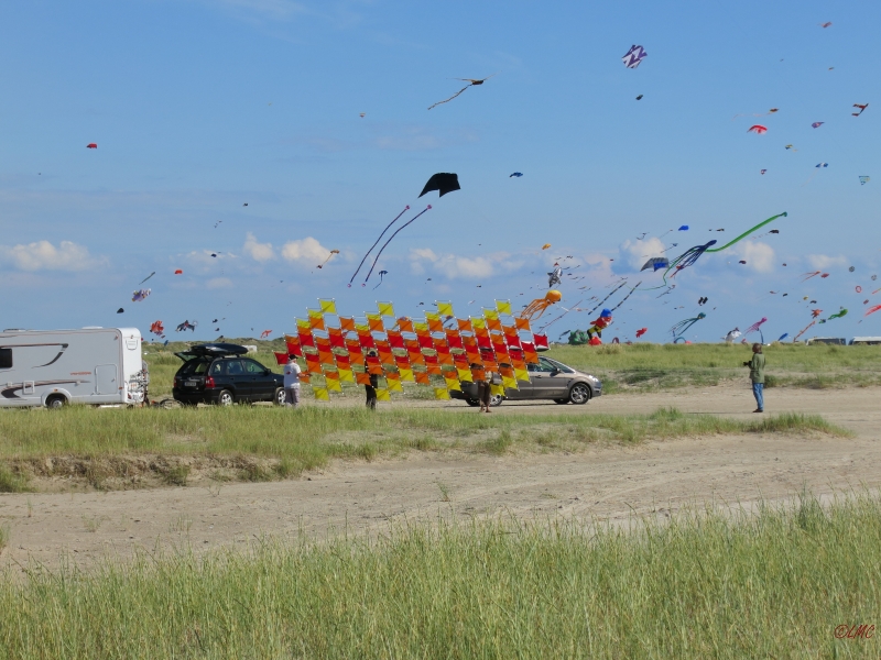 Fanoe_2014_288