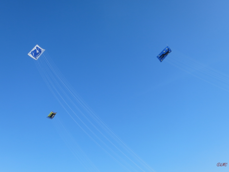 Fanoe_2014_295