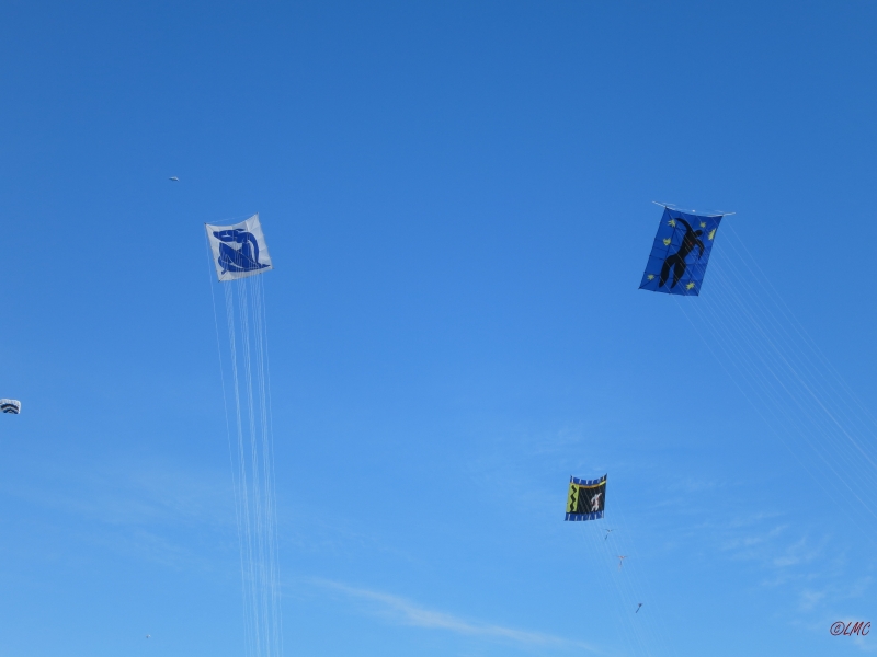 Fanoe_2014_296