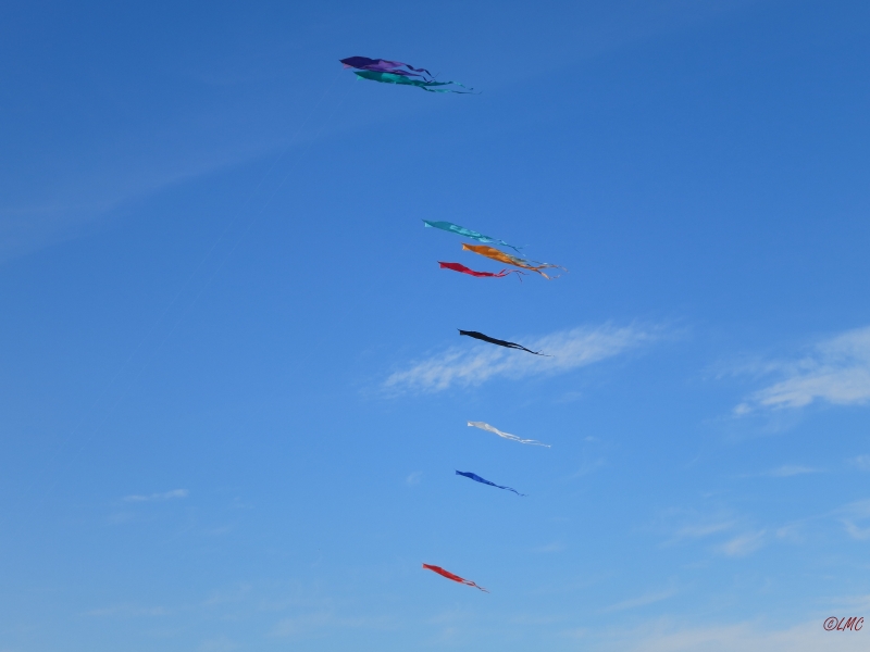 Fanoe_2014_299