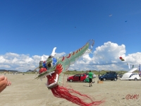 Fanoe_2014_246
