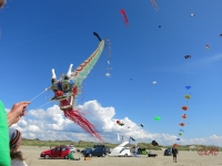 Fanoe_2014_247
