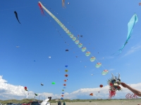 Fanoe_2014_249