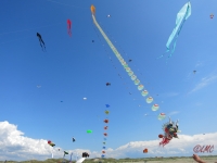Fanoe_2014_250