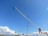 Fanoe_2014_251