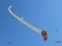 Fanoe_2014_254