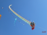 Fanoe_2014_255