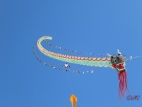 Fanoe_2014_256