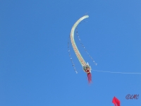 Fanoe_2014_257