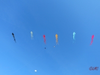 Fanoe_2014_258