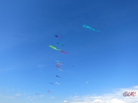 Fanoe_2014_259