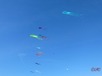 Fanoe_2014_260