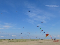 Fanoe_2014_261
