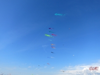 Fanoe_2014_264