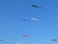 Fanoe_2014_265