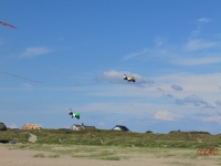 Fanoe_2014_266