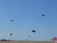 Fanoe_2014_268